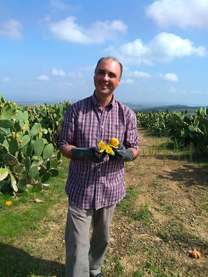 Francesco Le Favi