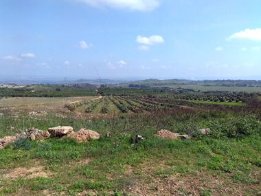 Azzenda of Francesco la Favi