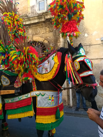 Horse parade at the sagra