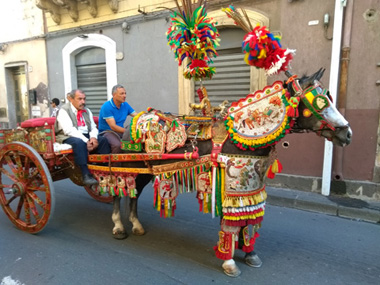 Horse parade at the sagra