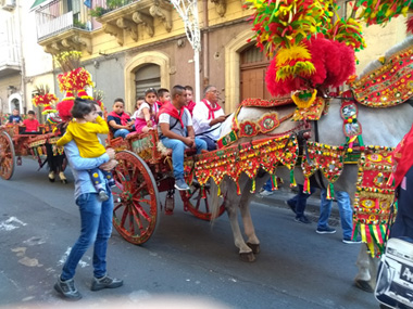 Horse parade at the sagra