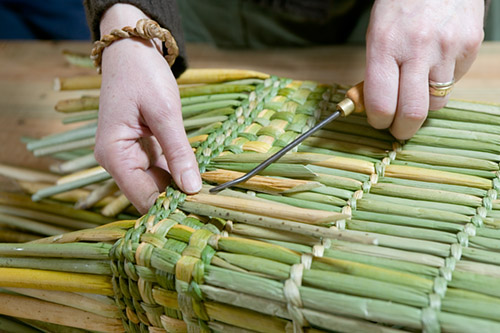 Anna Lewington Writer and Researcher - News RushWorks